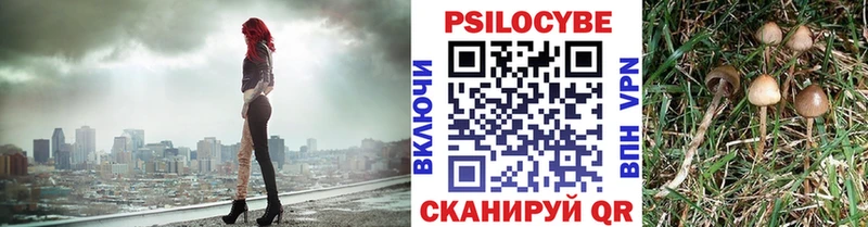 Псилоцибиновые грибы GOLDEN TEACHER  Зеленоградск 