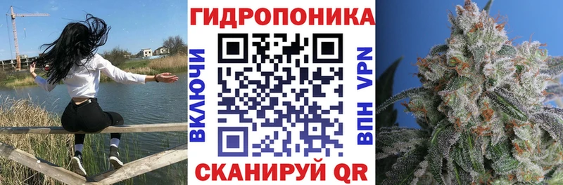 Бошки Шишки конопля  Зеленоградск 